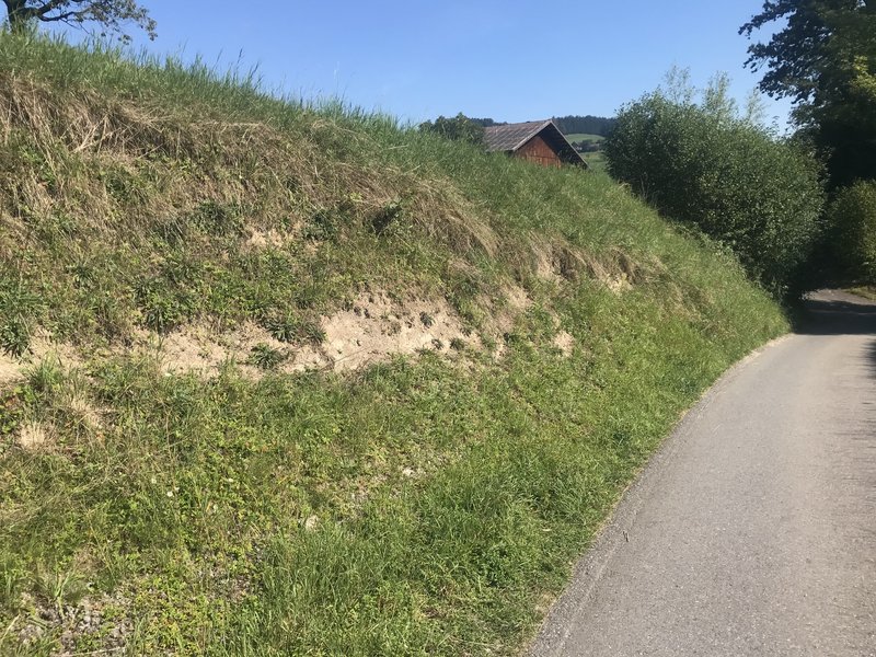 Schütter bewachsene Bodenstellen