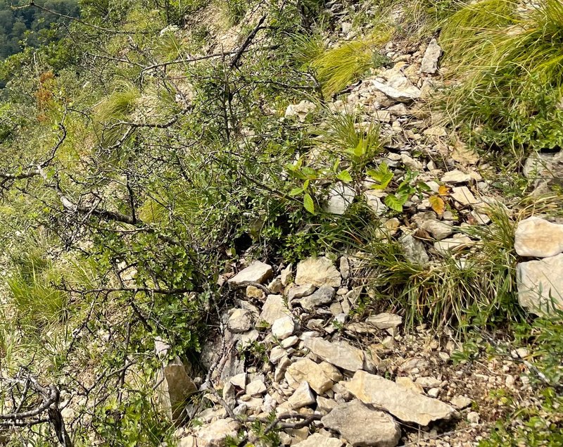 Am Boden liegende Steine
