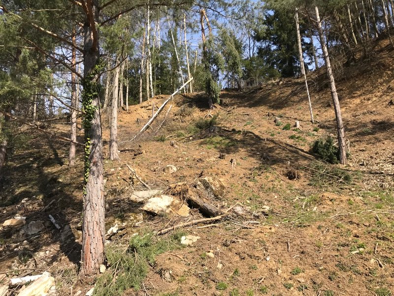 Rindenstücke